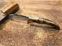 20261021_202859.webp